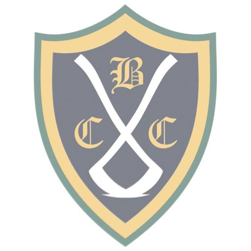 Senior Non-Playing Membership Application Form (copy)